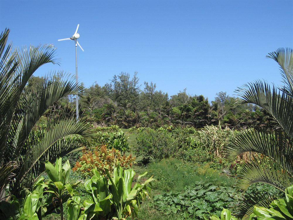 Hawaii Island Retreat At Ahu Pohaku Ho'Omaluhia Villa Kapaau Kültér fotó