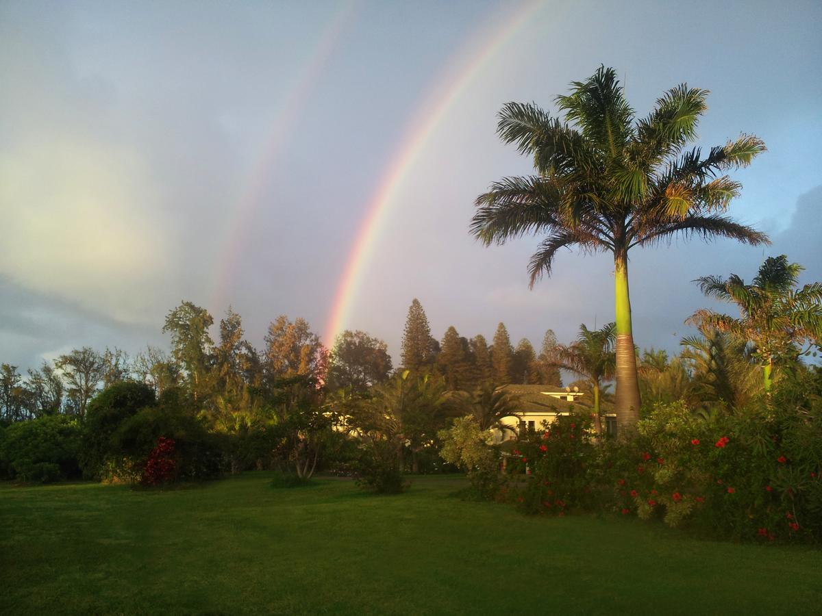 Hawaii Island Retreat At Ahu Pohaku Ho'Omaluhia Villa Kapaau Kültér fotó