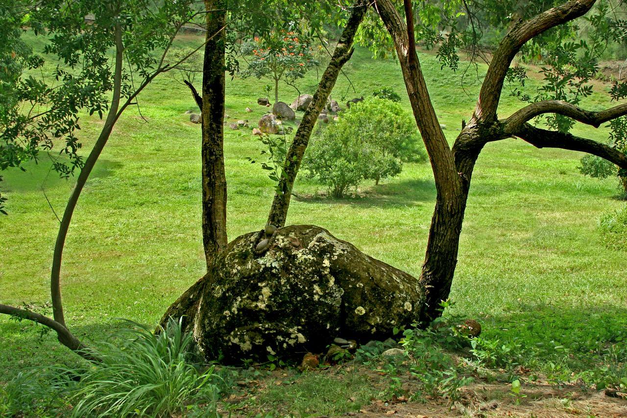 Hawaii Island Retreat At Ahu Pohaku Ho'Omaluhia Villa Kapaau Kültér fotó