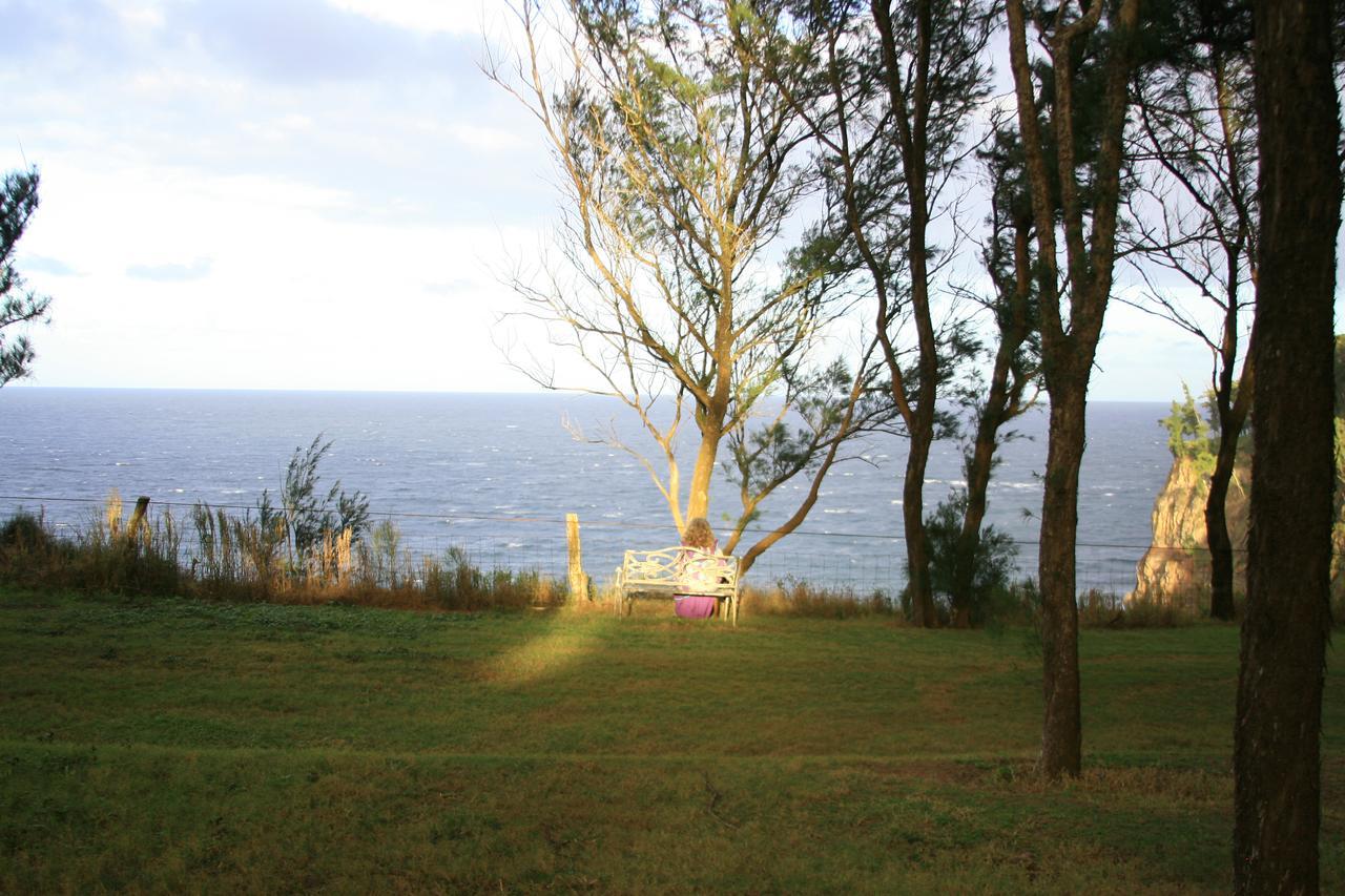 Hawaii Island Retreat At Ahu Pohaku Ho'Omaluhia Villa Kapaau Kültér fotó