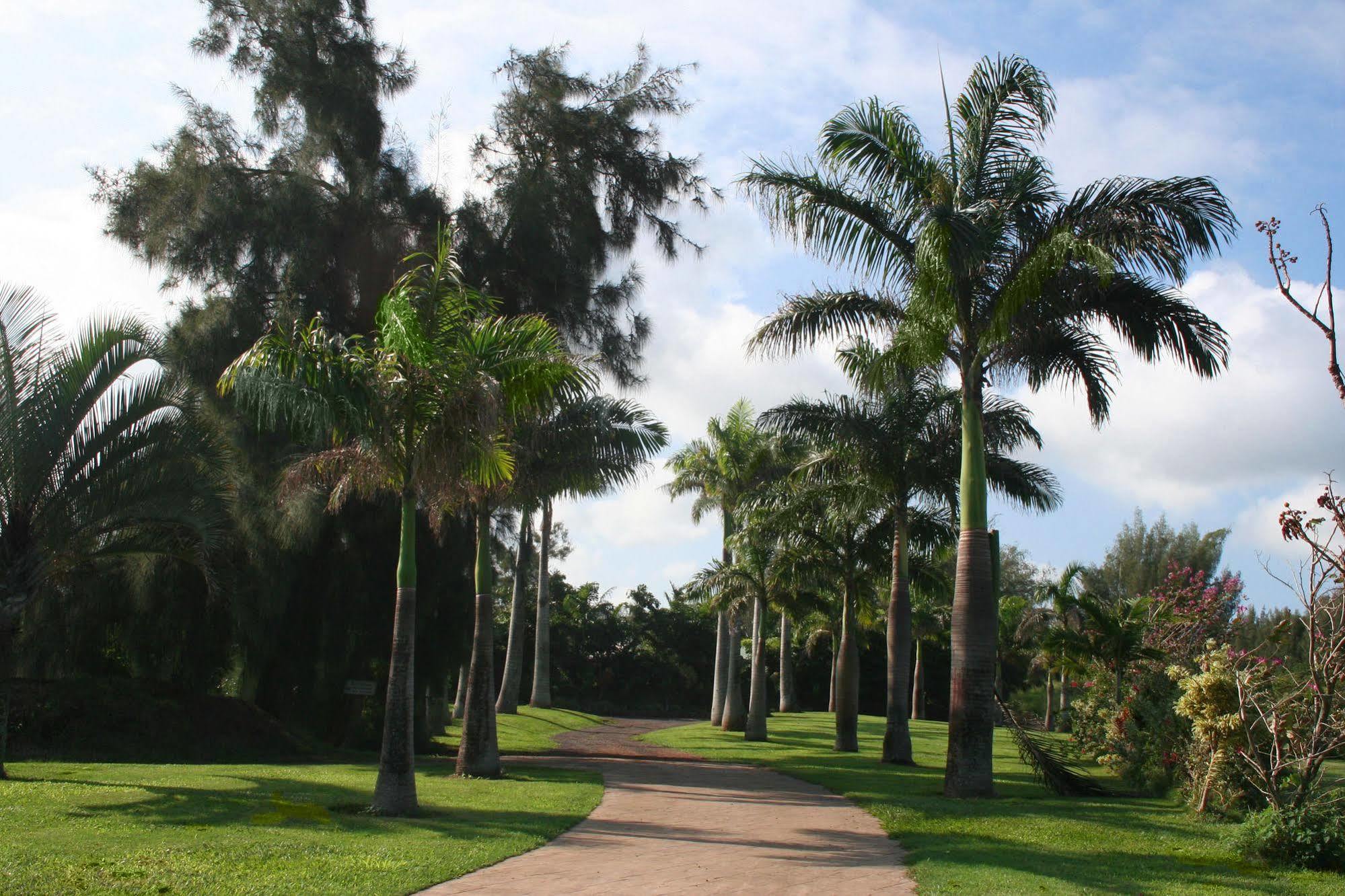 Hawaii Island Retreat At Ahu Pohaku Ho'Omaluhia Villa Kapaau Kültér fotó