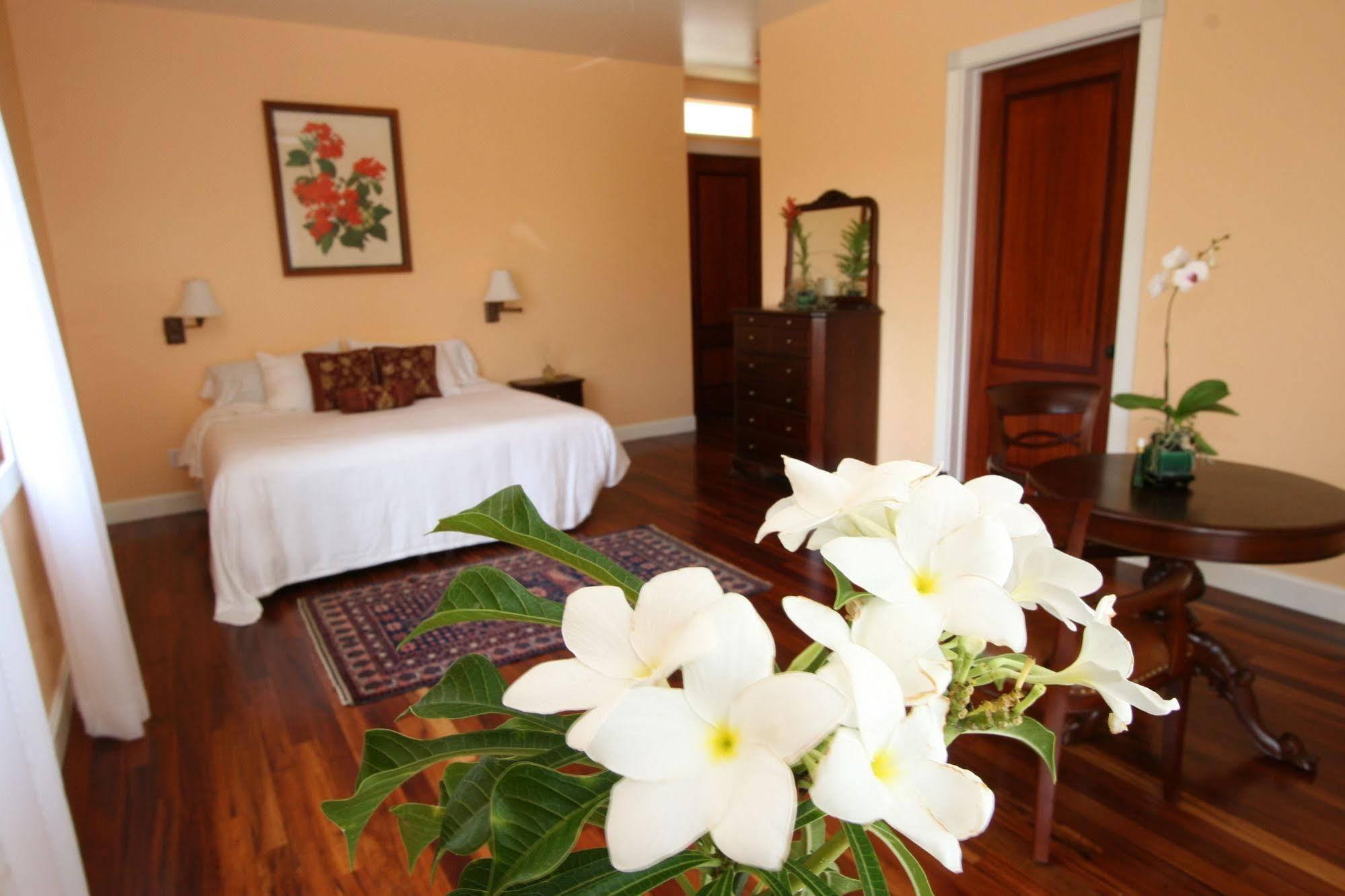 Hawaii Island Retreat At Ahu Pohaku Ho'Omaluhia Villa Kapaau Kültér fotó